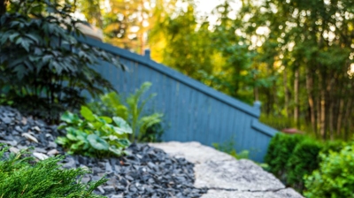 Gray stone path with gravel and greenery. Photo